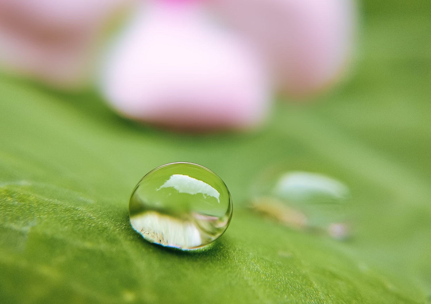Cure détox naturelle Vital Health Global utilisant la nanotechnologie